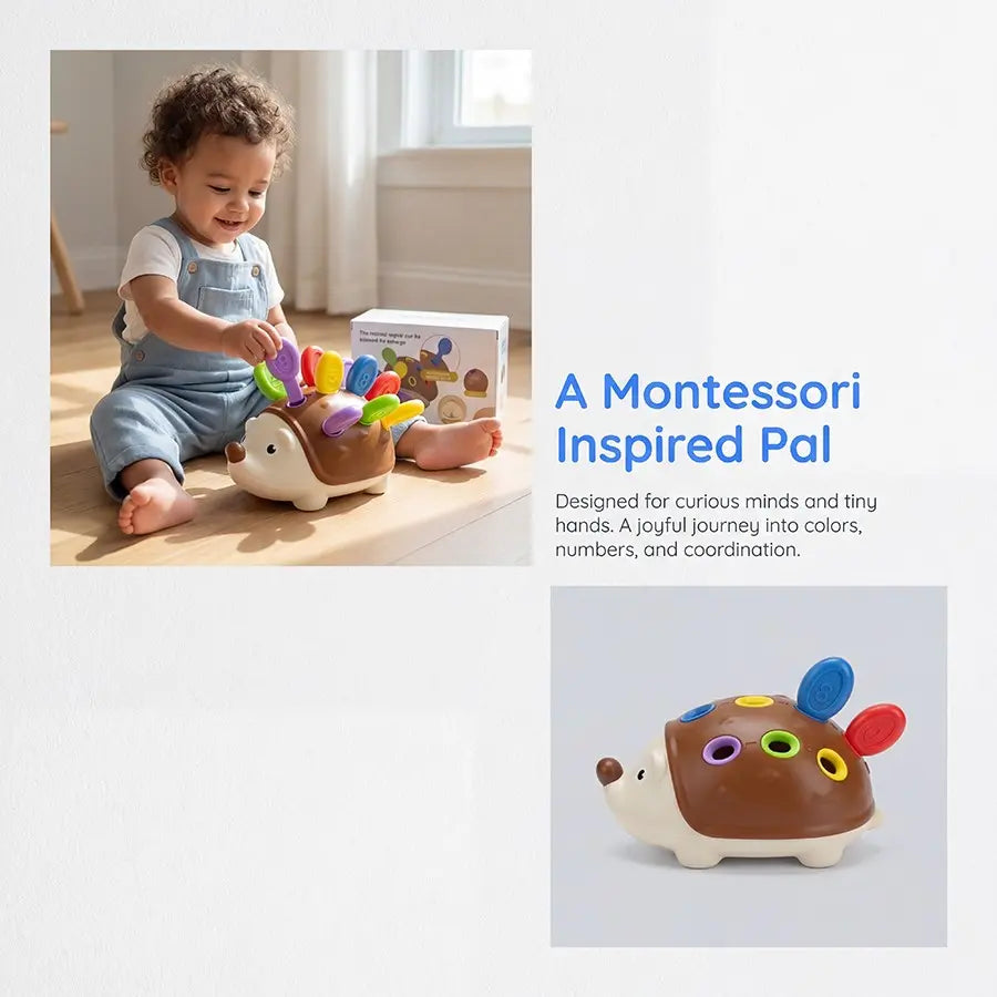 Fine Motor Toys for Toddlers, Multi Activity Playset, Hedgehog Learning Counting & Sorting Montessori Educational Sensory Toy, Development Sensory Gifts for Kids Boys Girls