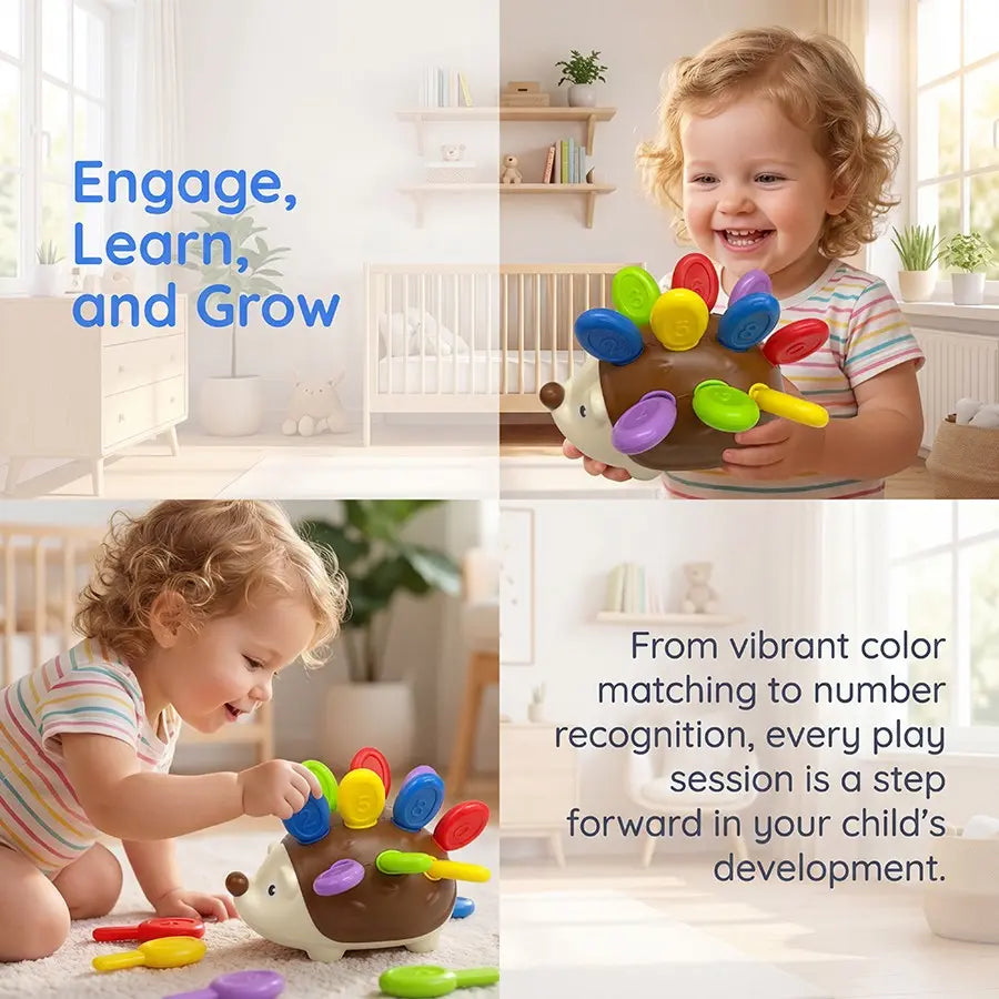 Fine Motor Toys for Toddlers, Multi Activity Playset, Hedgehog Learning Counting & Sorting Montessori Educational Sensory Toy, Development Sensory Gifts for Kids Boys Girls